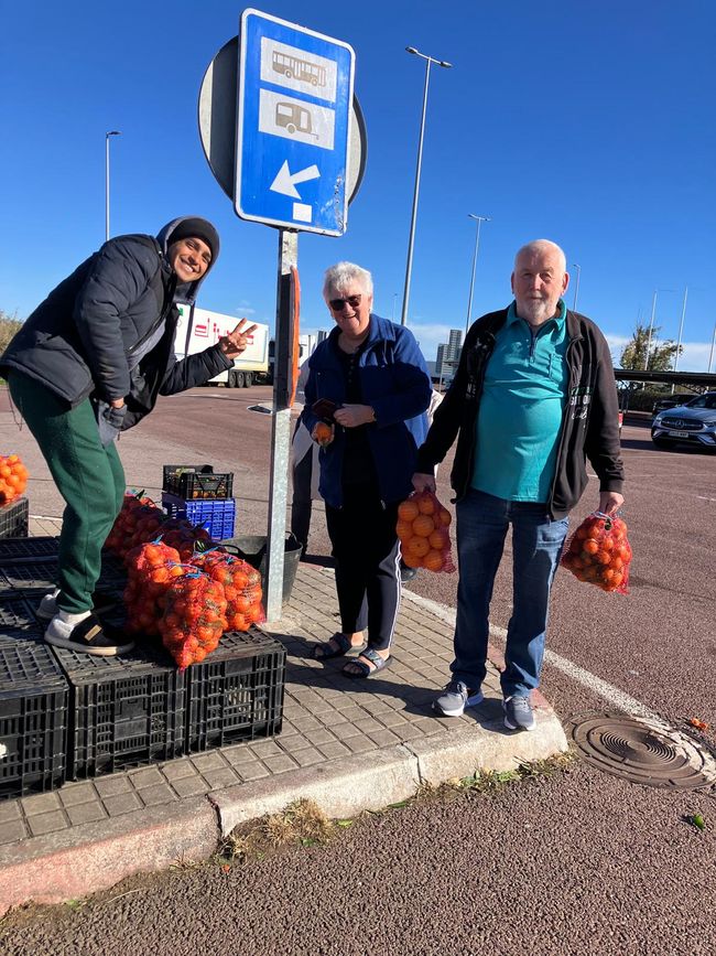 Frisch vom Baum 🌳 