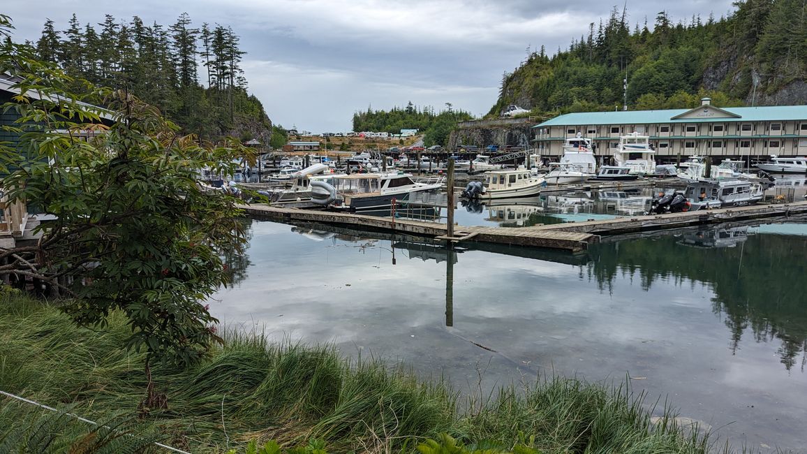 Day 11: Strathcona PP - Telegraph Cove - Alder Bay