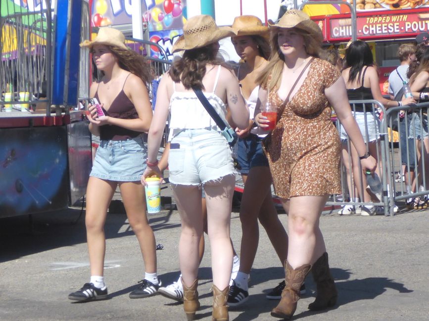 Viele hübsche Cowgirls