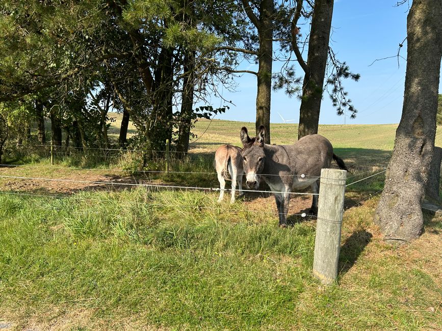 Tag 13: Aalborg - Skagen