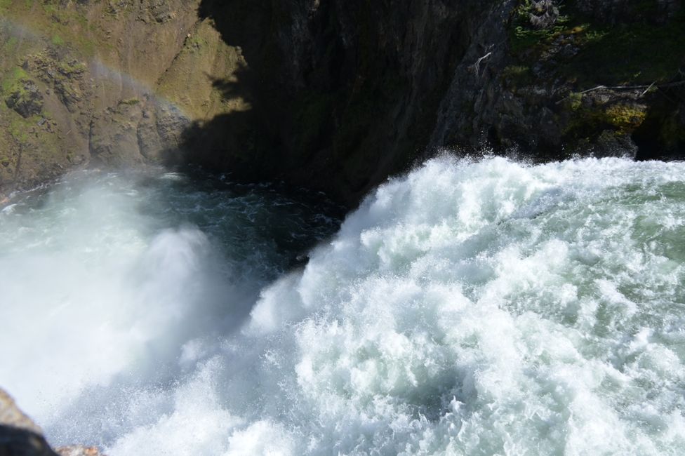 Grand Canyon de Yellowstone - Chutes Supérieures