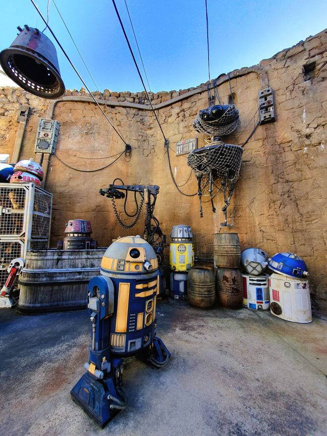 Walt Disney World