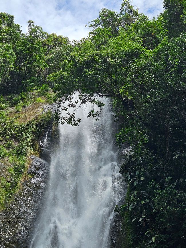 51. Tag Suva, Fiyi 14.01.2026