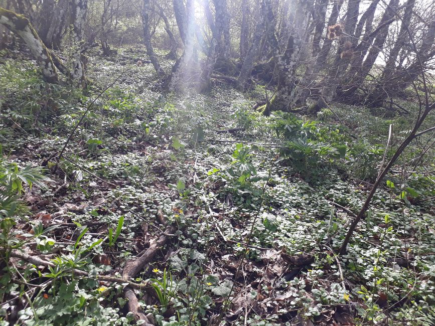 3. A hike along the Monte Subasio