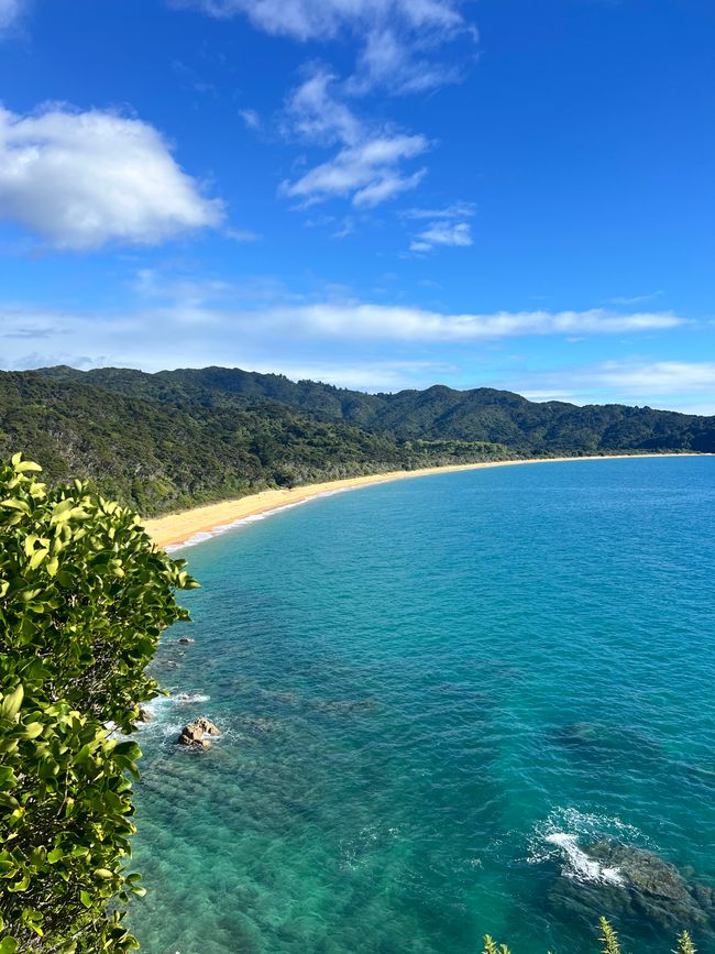 Totaranui Bay 