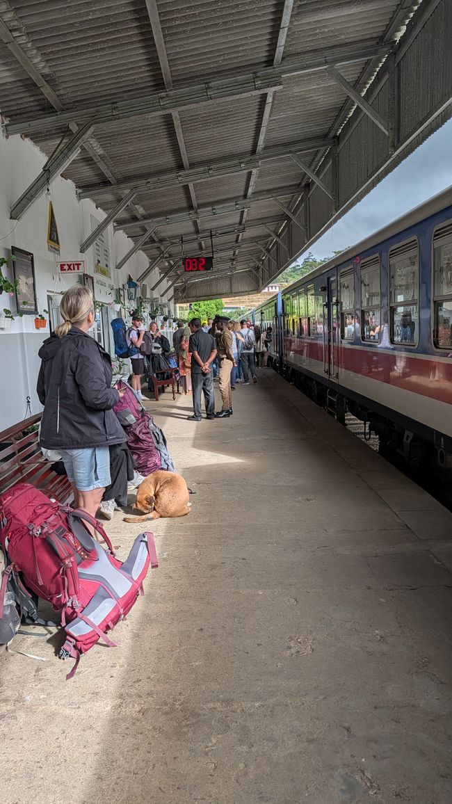 Billet de train oui ou non ?