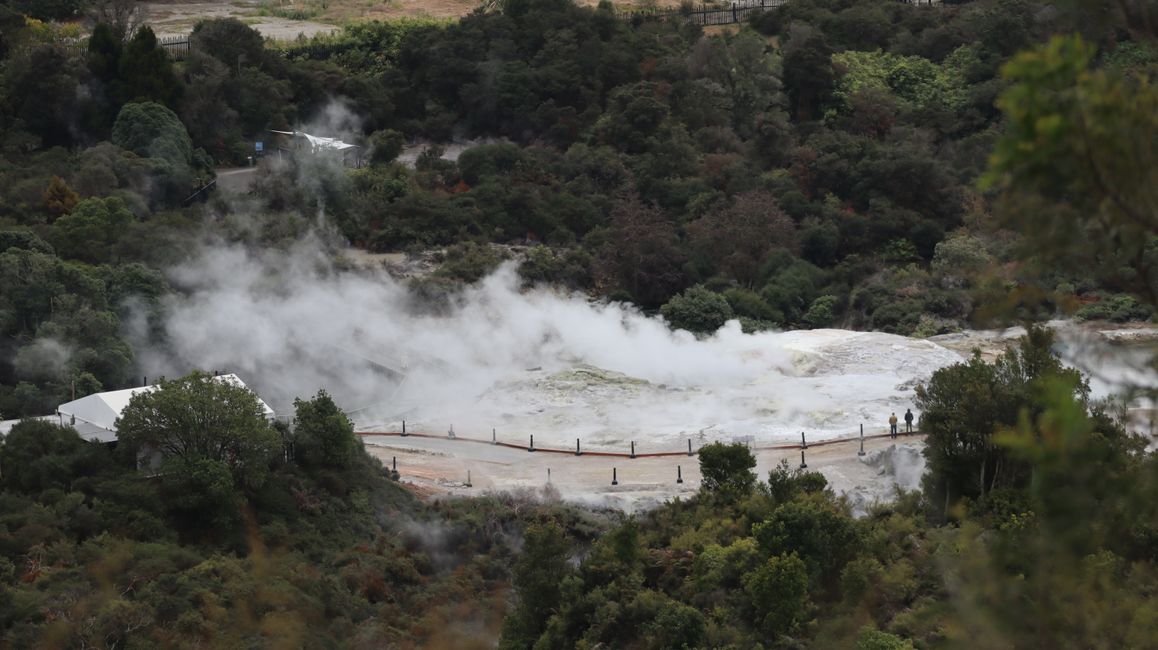 Pohutu Geysir - noch dampft er nur ein bisschen
