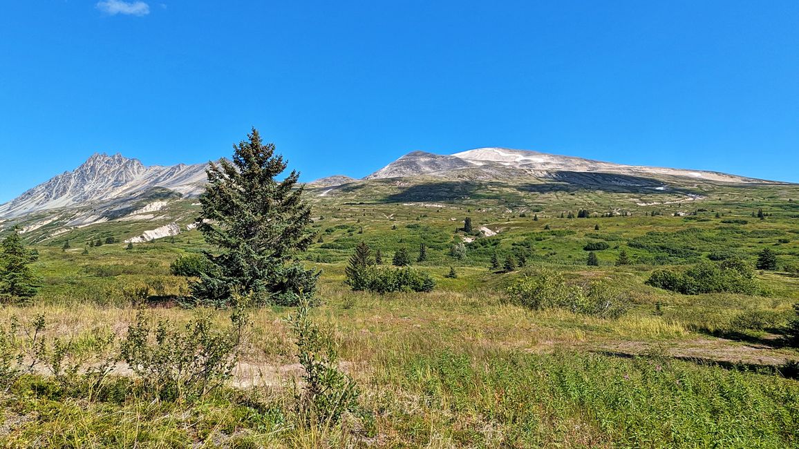 Tag 27: Bärenshow & fantastische Bergwelten - zurück nach Yukon/Kanada