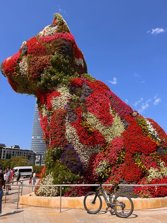 The blooming dog by Jeff Koons in front of the museum