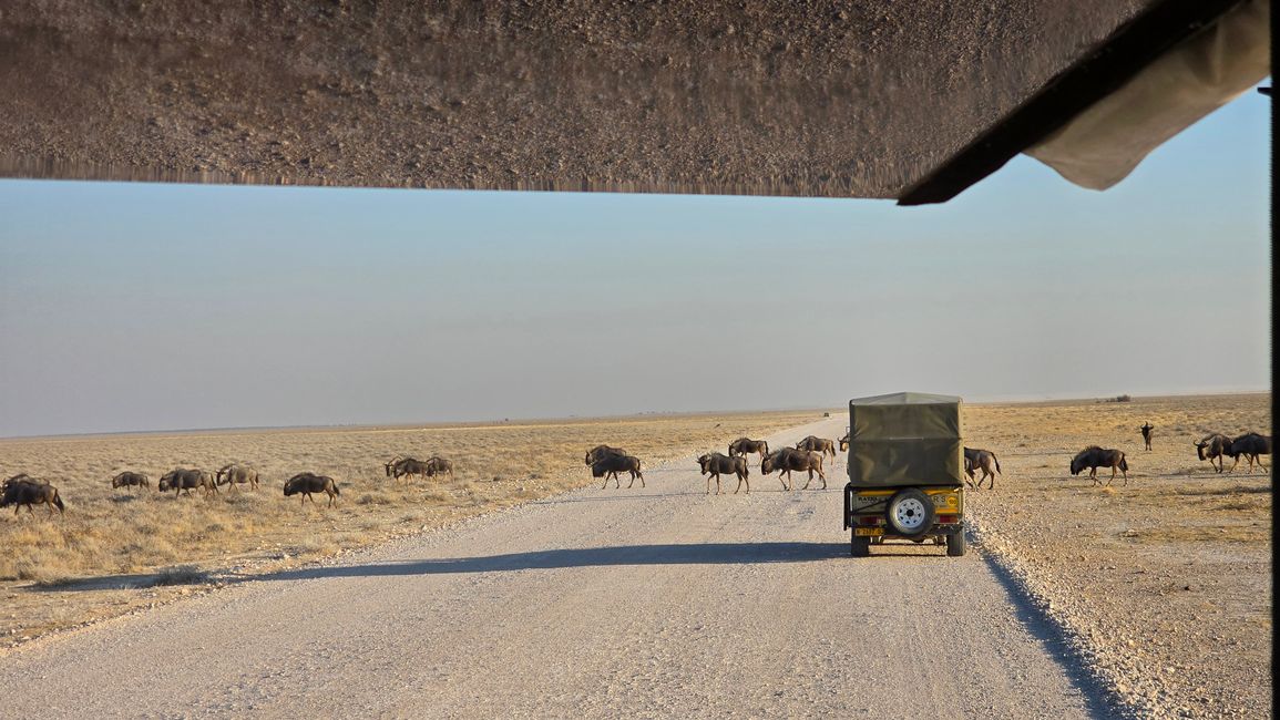 Game Drive