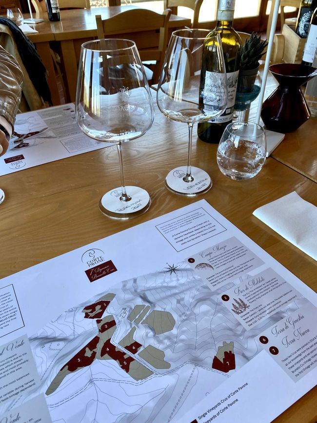 Tuscany Tour - Stop 3: Wine Tasting in Montalcino