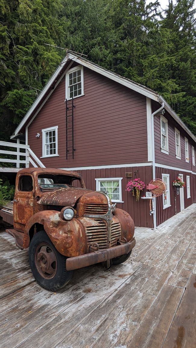 Day 11: Strathcona PP - Telegraph Cove - Alder Bay