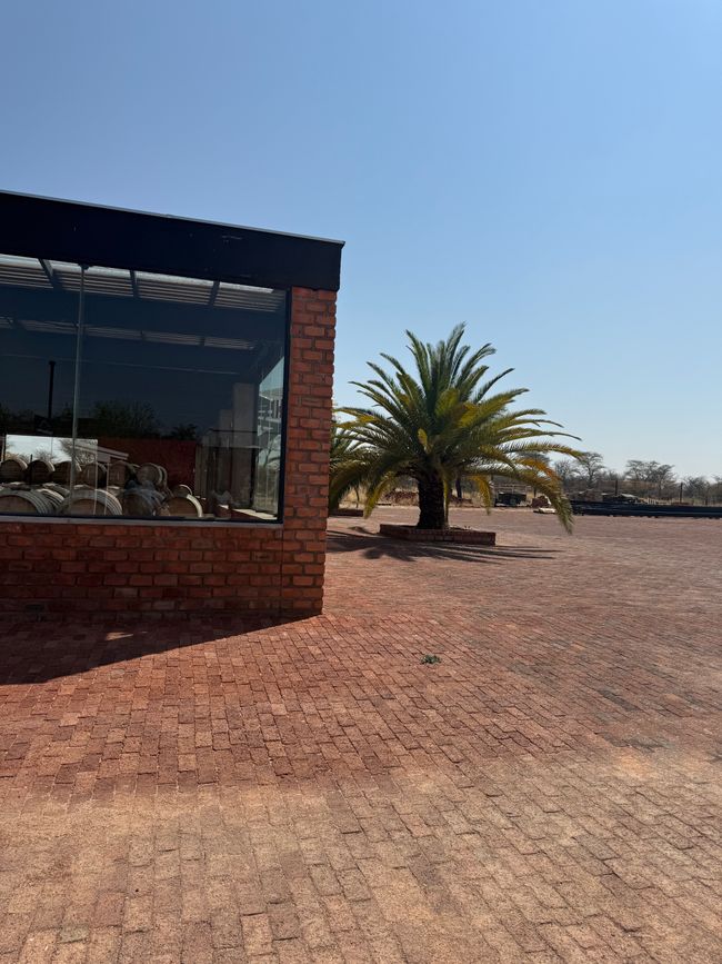 Namibia 2k25 🦓🏜️🐘