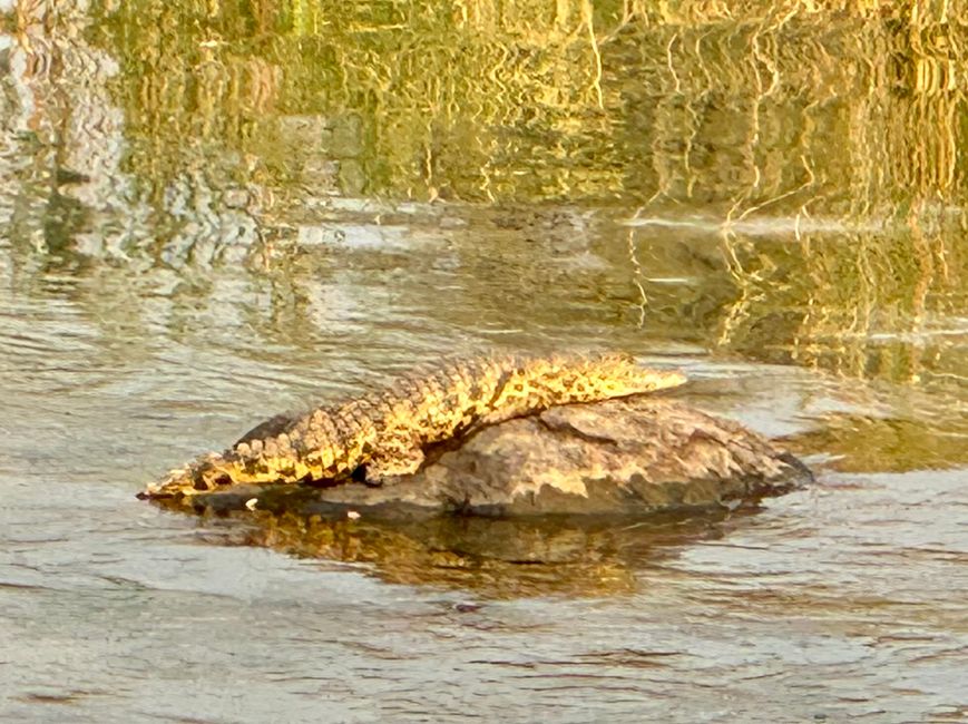 Along the Okavango