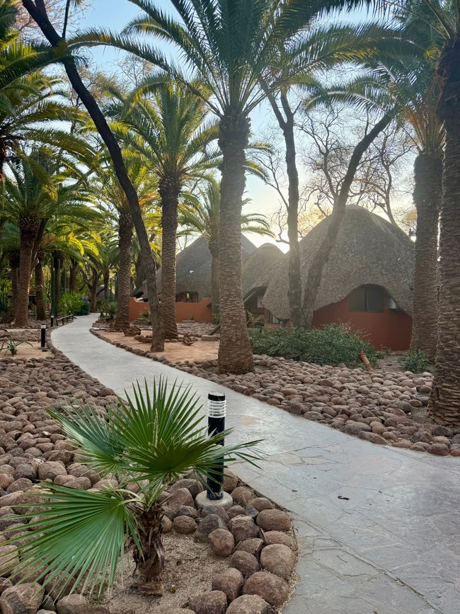 Namibia 2k25 🦓🏜️🐘