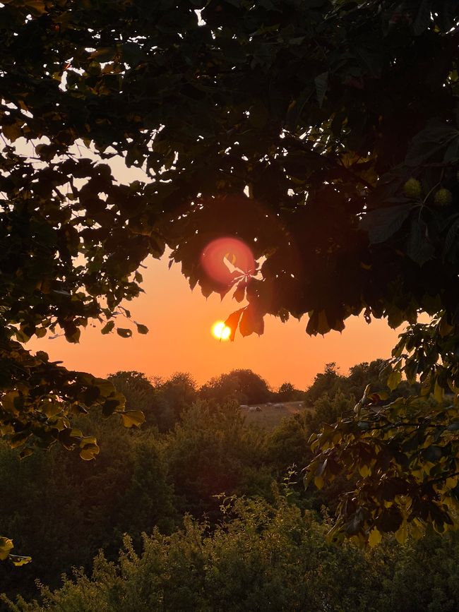 Discover Germany anew