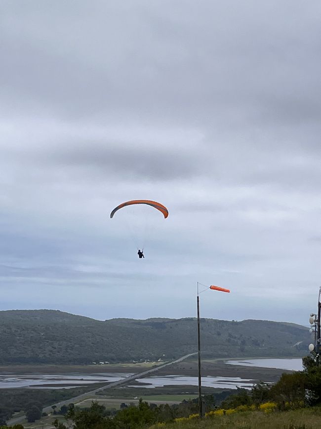 Knysna