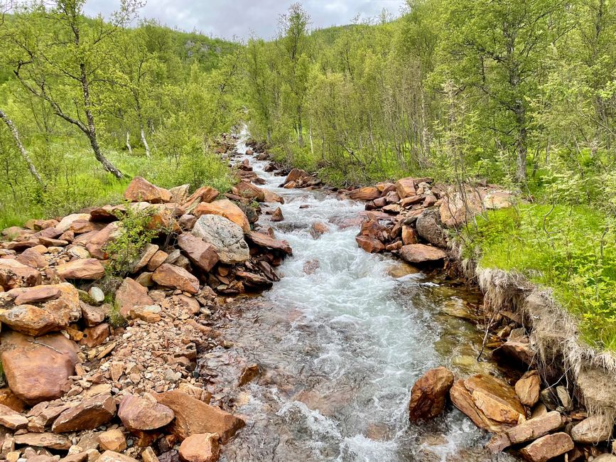 Wieder ein toller, reißender Bachlauf / Quelle.