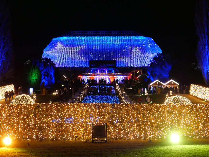 Christmas Garden