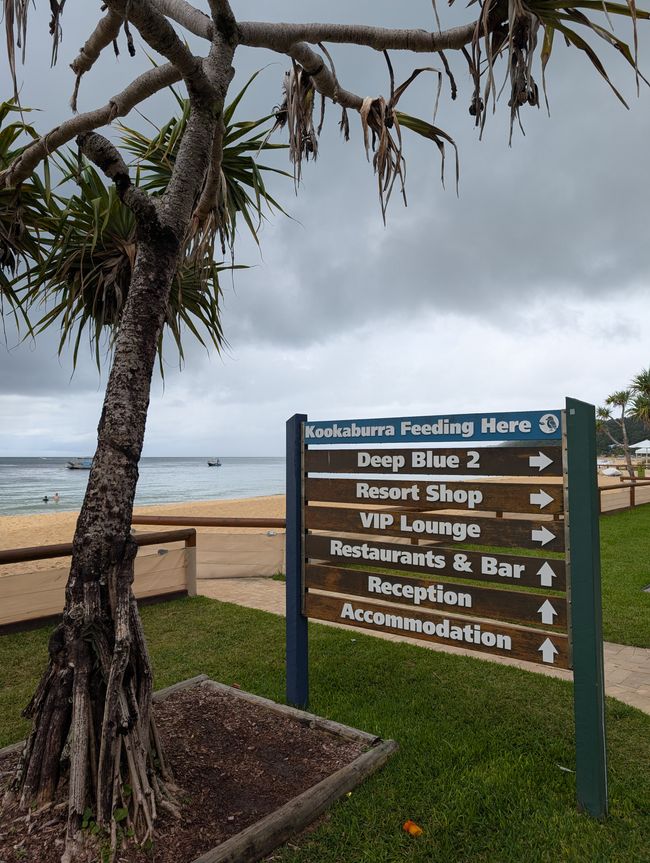 Blu su Moreton Island