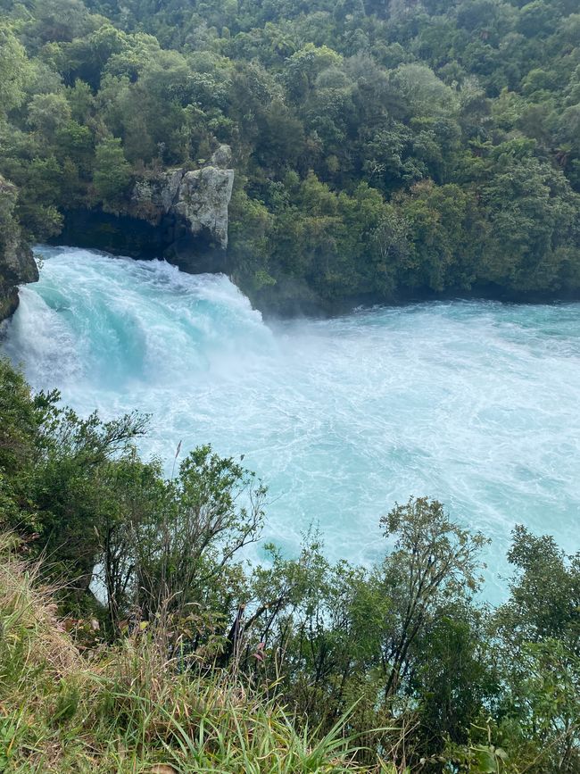 Taupo