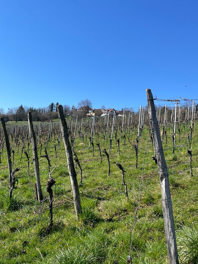 Weil am Rhein/ Bâle