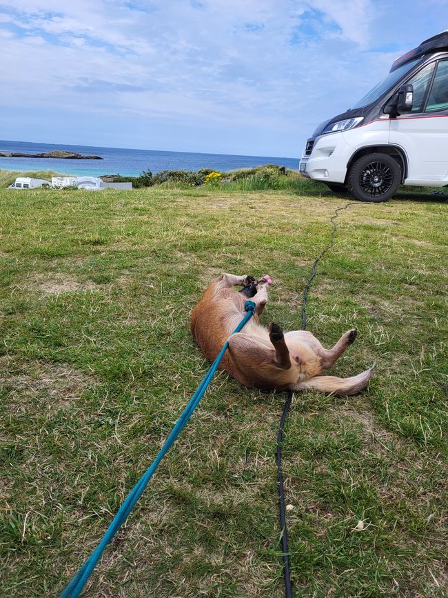 Tag 4 - Ølberg Campingplatz kurz vor Stavanger ein Chilltag