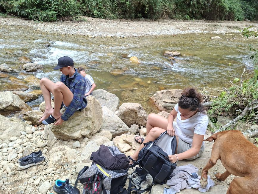 Semaine 26-28 : Au revoir, Colombie