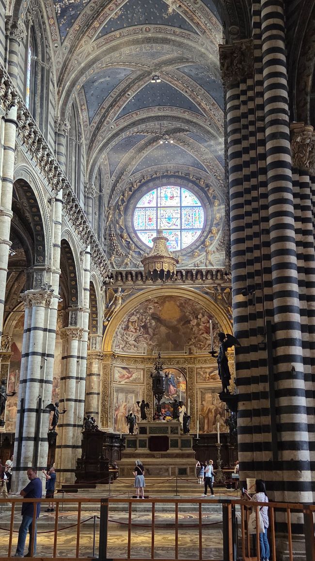 Duomo interno