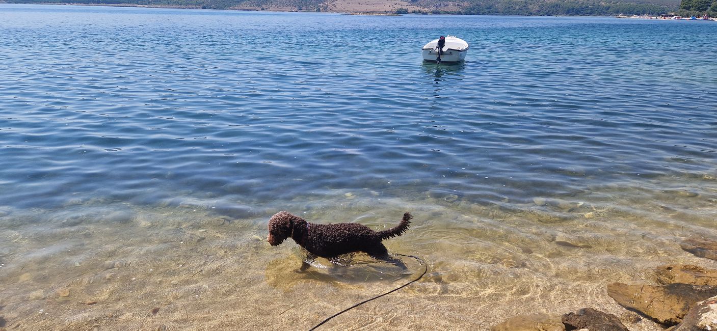 Fishing in the Sea