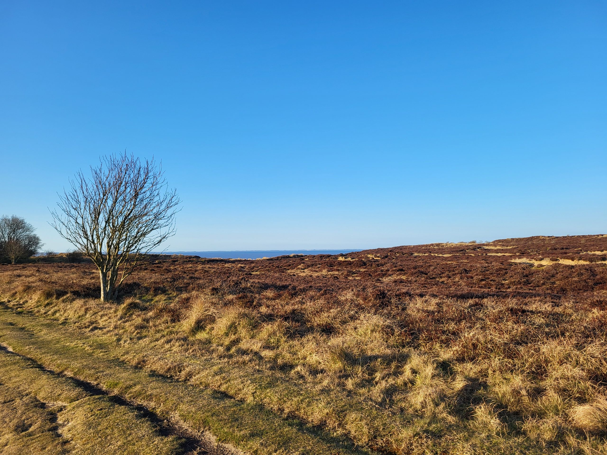 Morsum Cliff