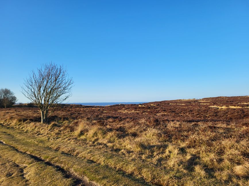 Morsum Cliff