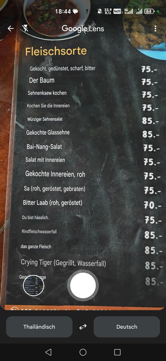 Was Google Translate so vorschlägt 
