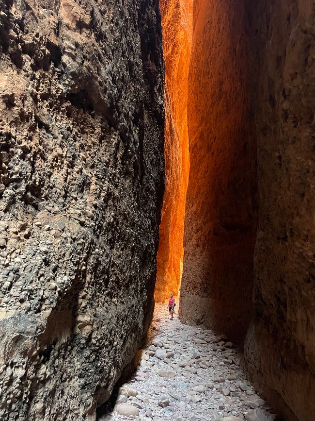 At the Echidna Chasm 