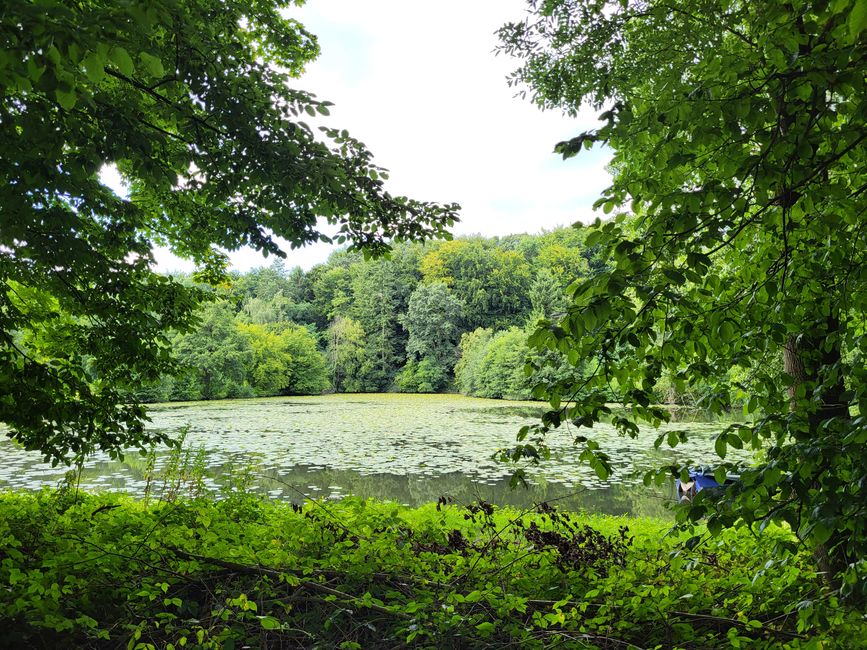 Fischteiche vom Haus Marck