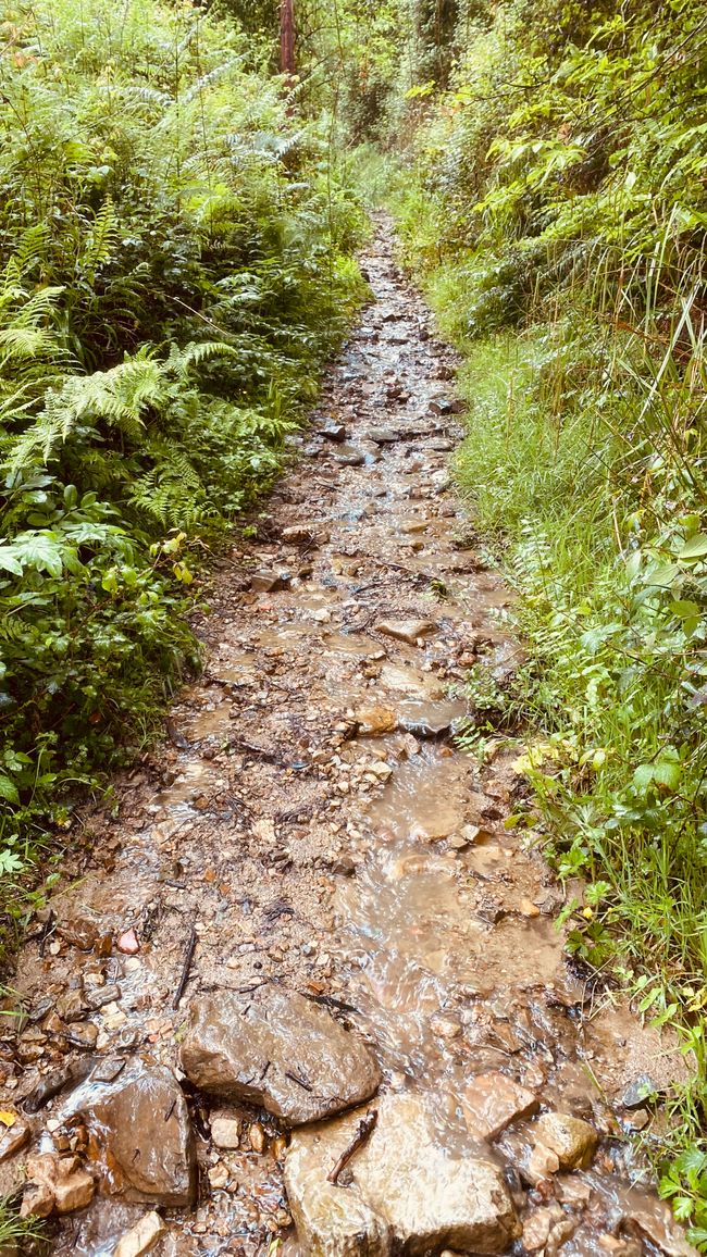 Tag2 Muros - Navellana