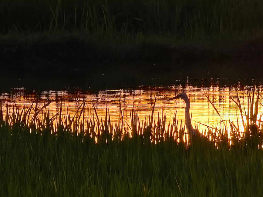 Langkawi - Reif für die Insel!