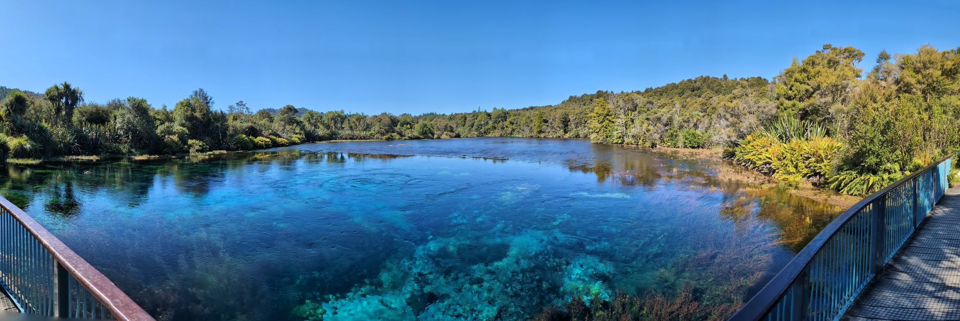 Te Waikoropupū Springs