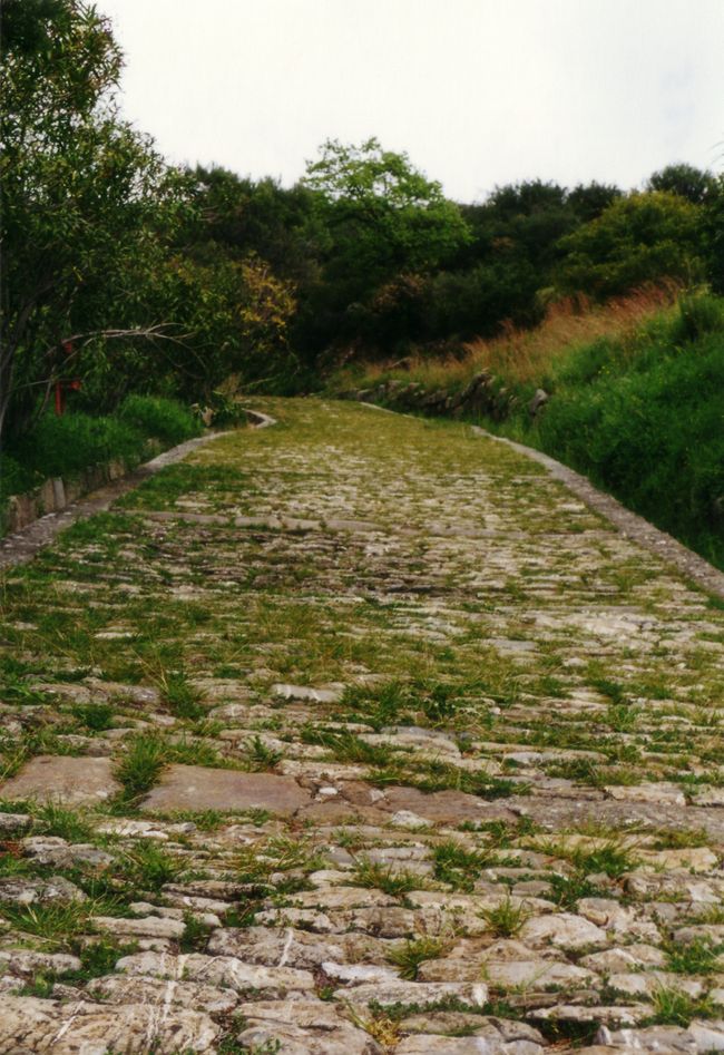 Roman road near Via Popilia