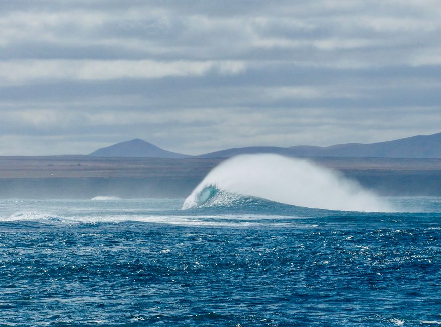 Die perfekte Welle vor El Cotillo