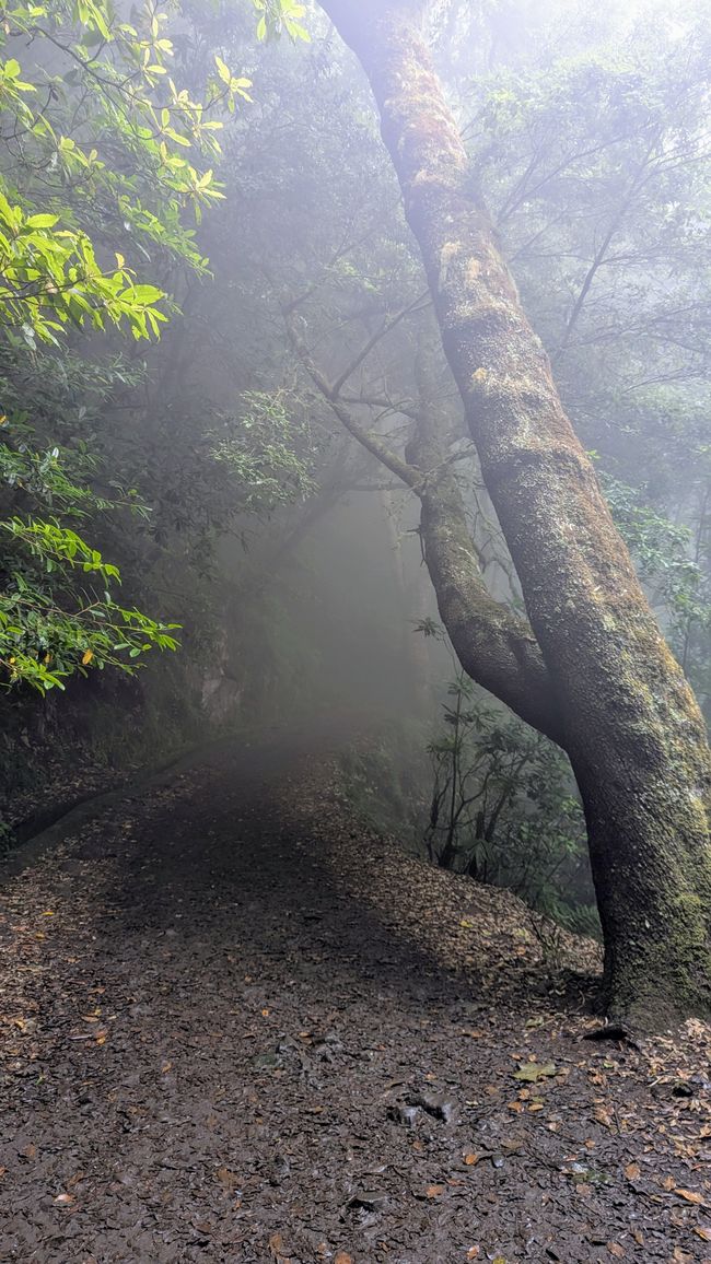 PR 11 Vereda dos Balcões