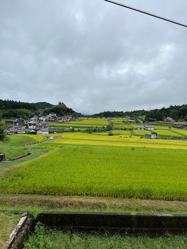 Magome to Tsumago (Hiking Trail)