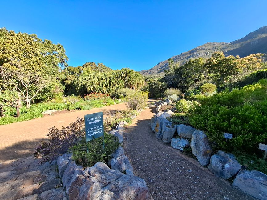 Jardins botaniques