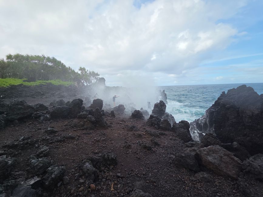 Blowhole