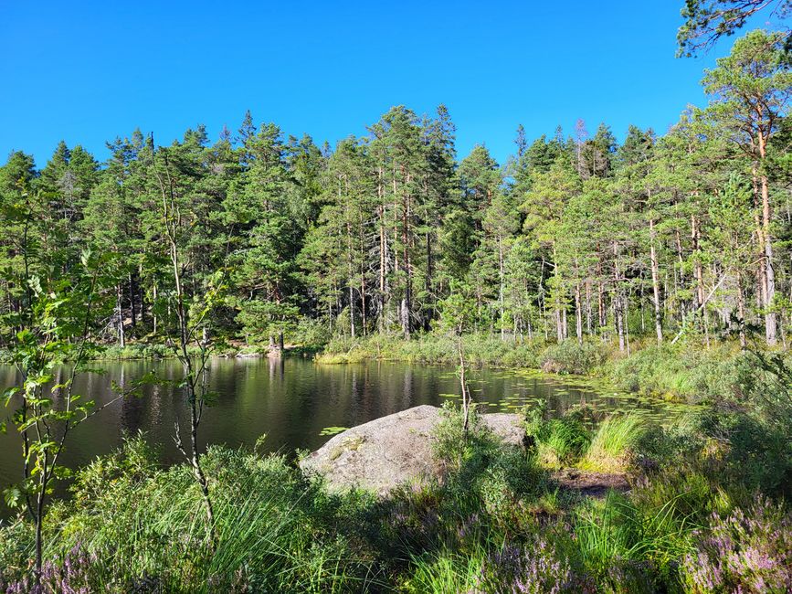 Parco Nazionale di Tiveden