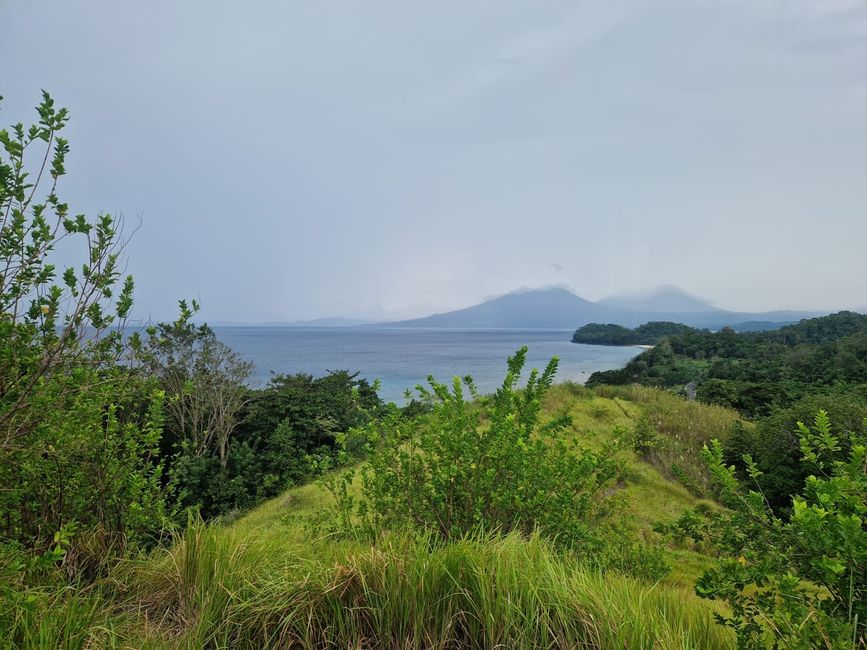 Tag 25/26 Tangkoko