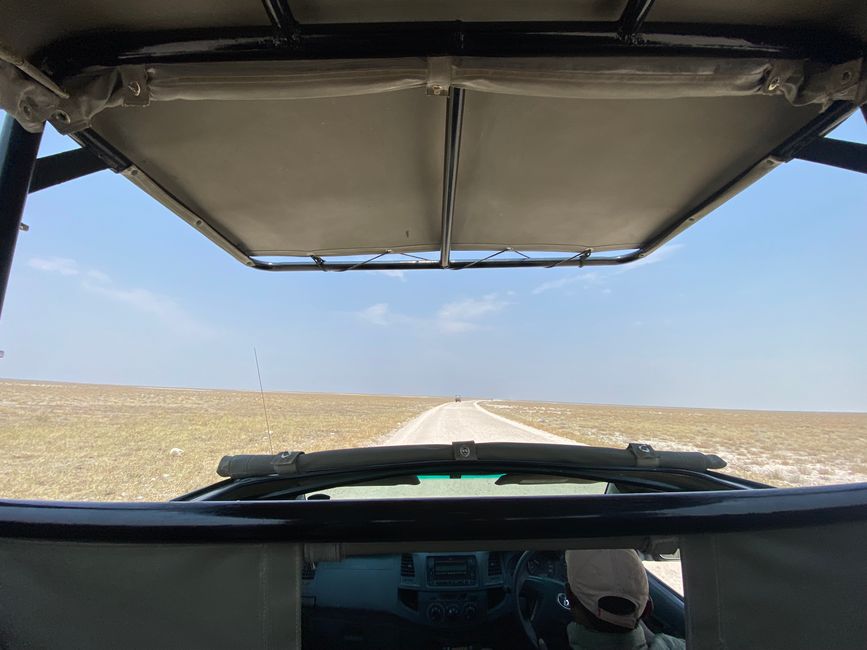 Etosha National Park 🐘🦒