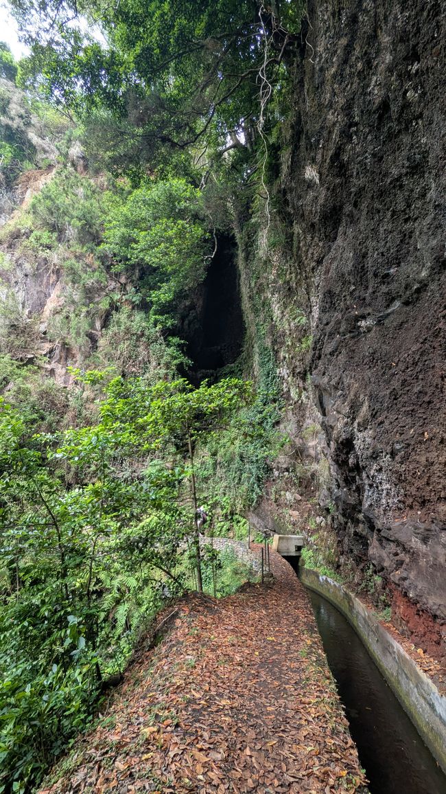 Tag 13: Levada da Ribeira da Janela & Nordwestküste