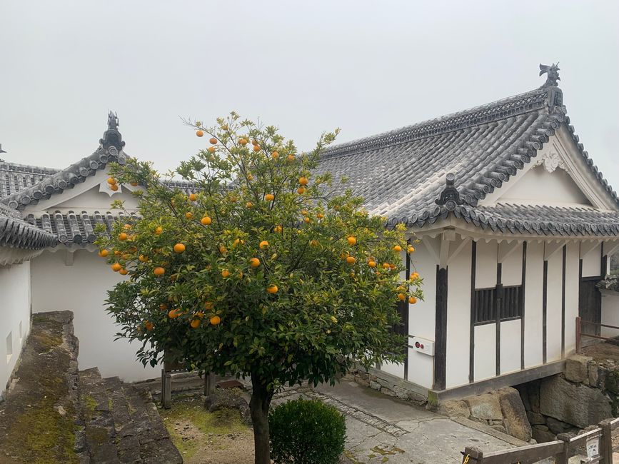 Himeji