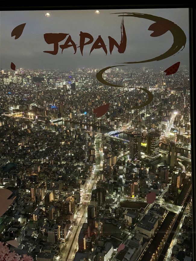Parte 7
BENVENUTO IN GIAPPONE 🇯🇵
TOKYO